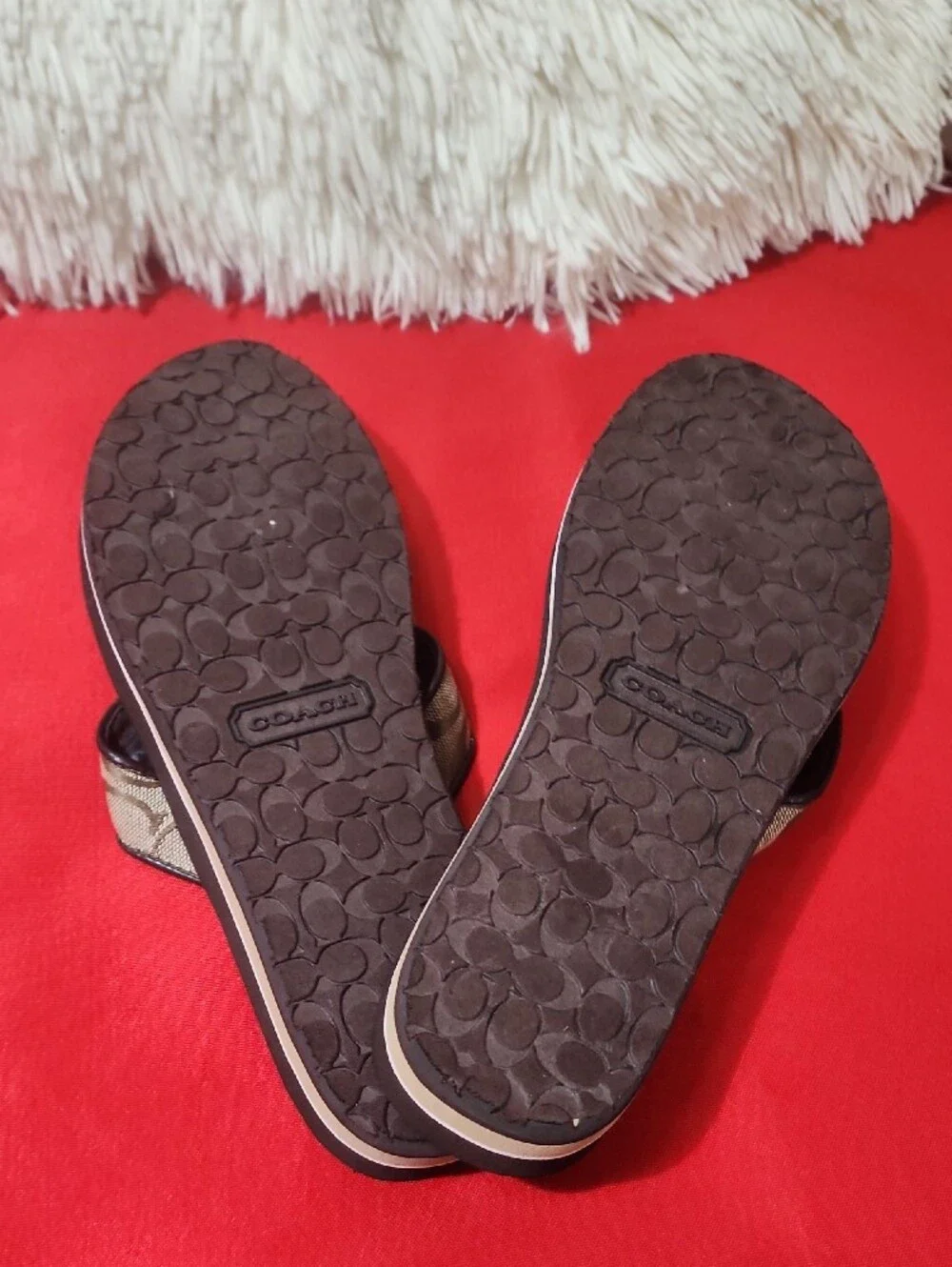 Coach Jillian Brown and Tan Floral Thong Sandals
